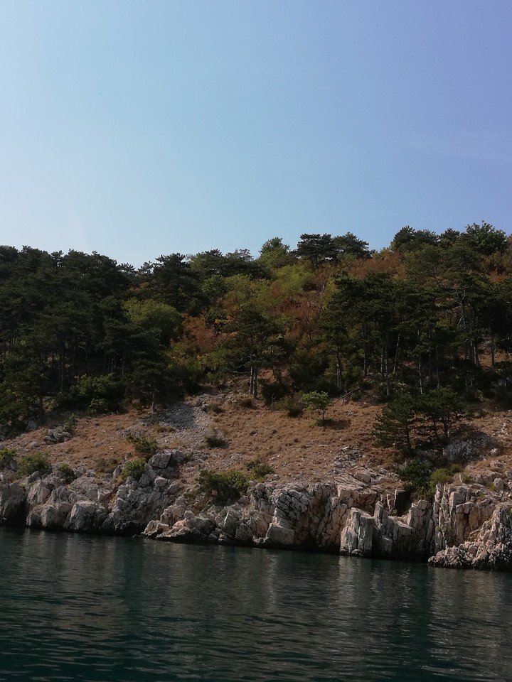 море