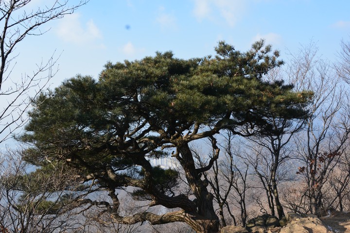 천마산이미지