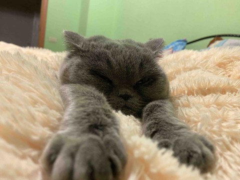 Тучка)