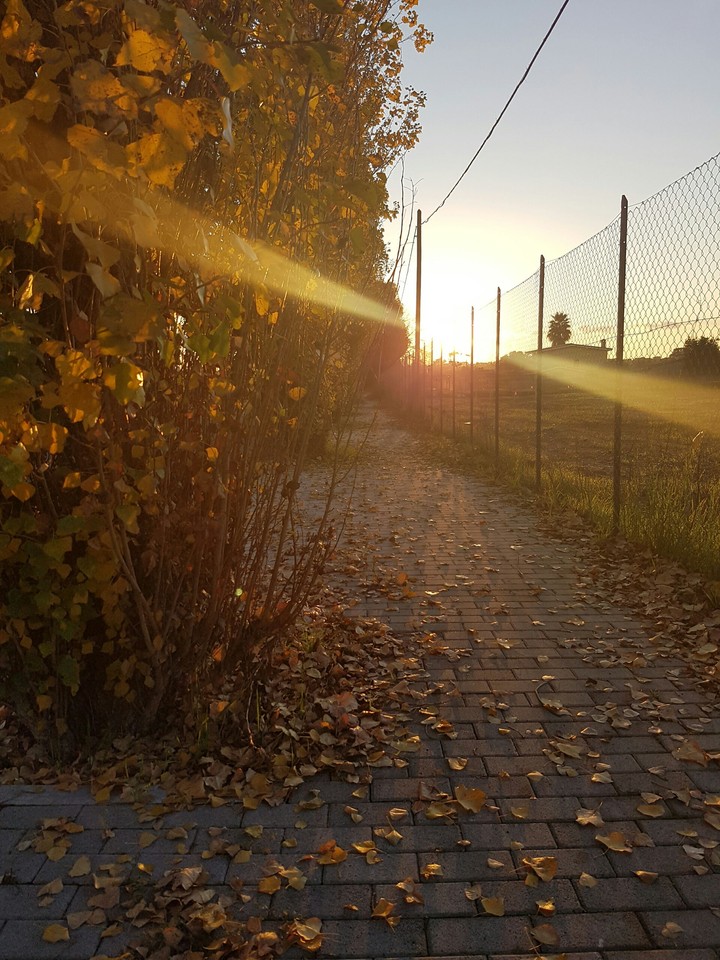 sunset