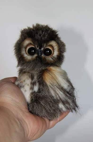 baby ..... cute...