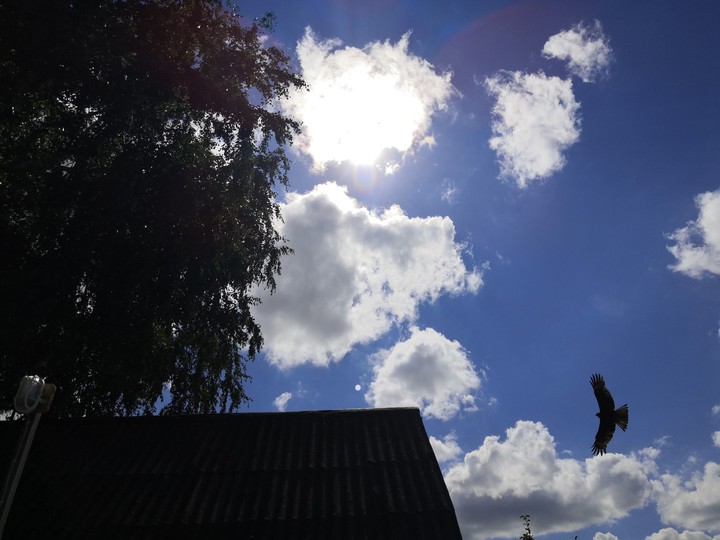 Sky