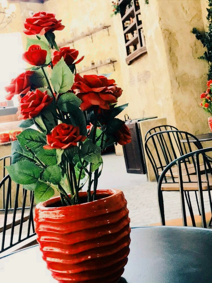 roses