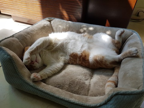 Don't disturb please!