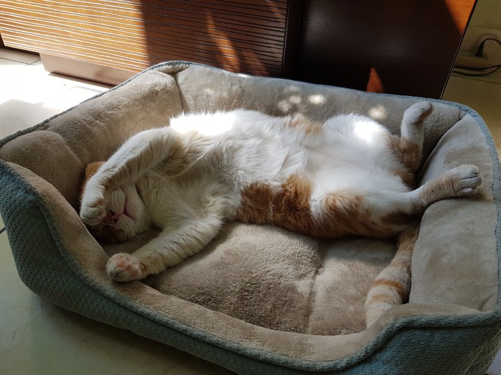 Don't disturb please!