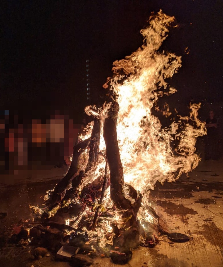 HOLIKA