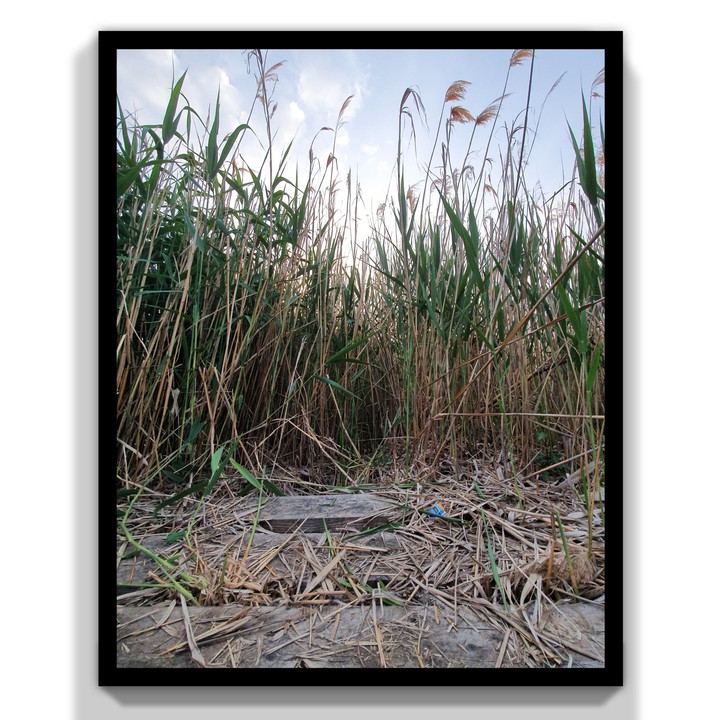 Picture in Frame