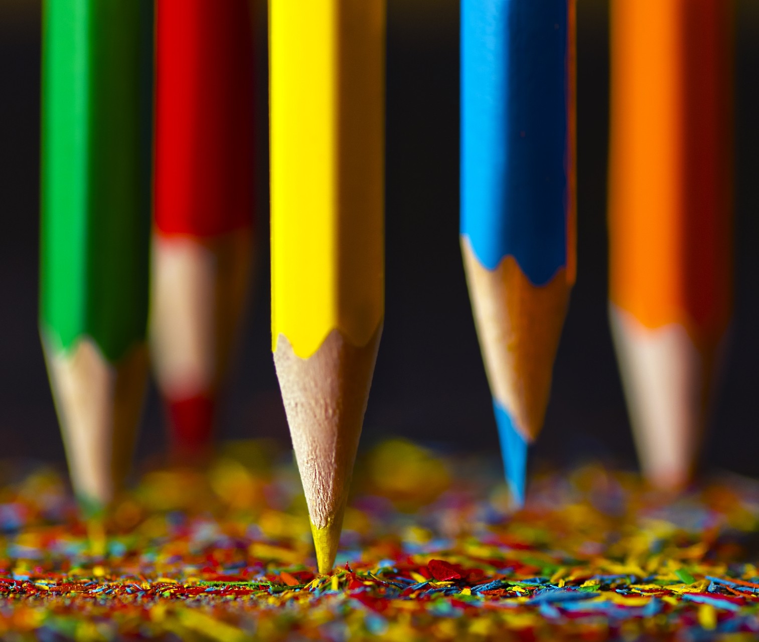 Colors Of Our Life