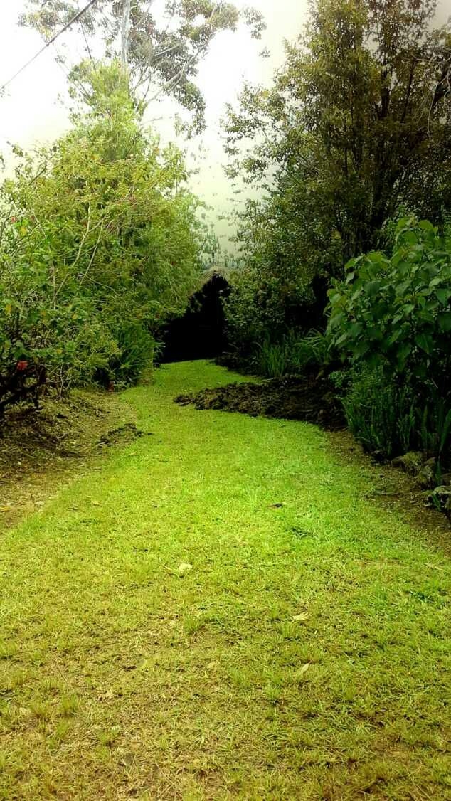 green garden