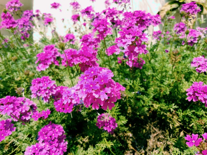 Summer's here!