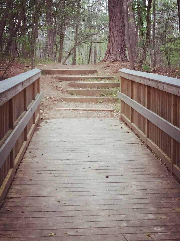 The Bridge