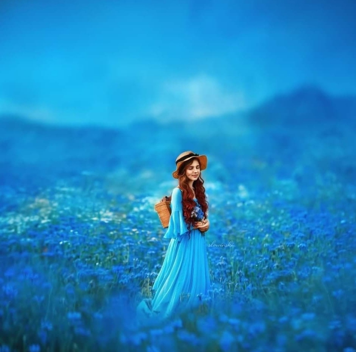 summer in blue...