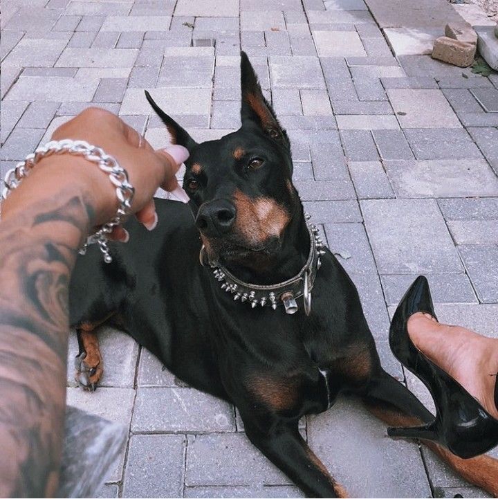 black love
