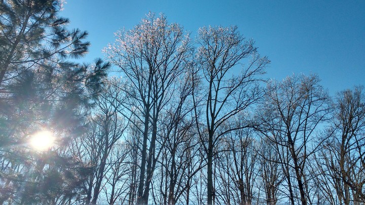 shining winter