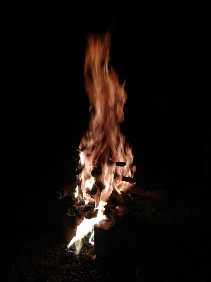 Warm up the World