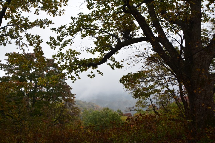 오대산이미지