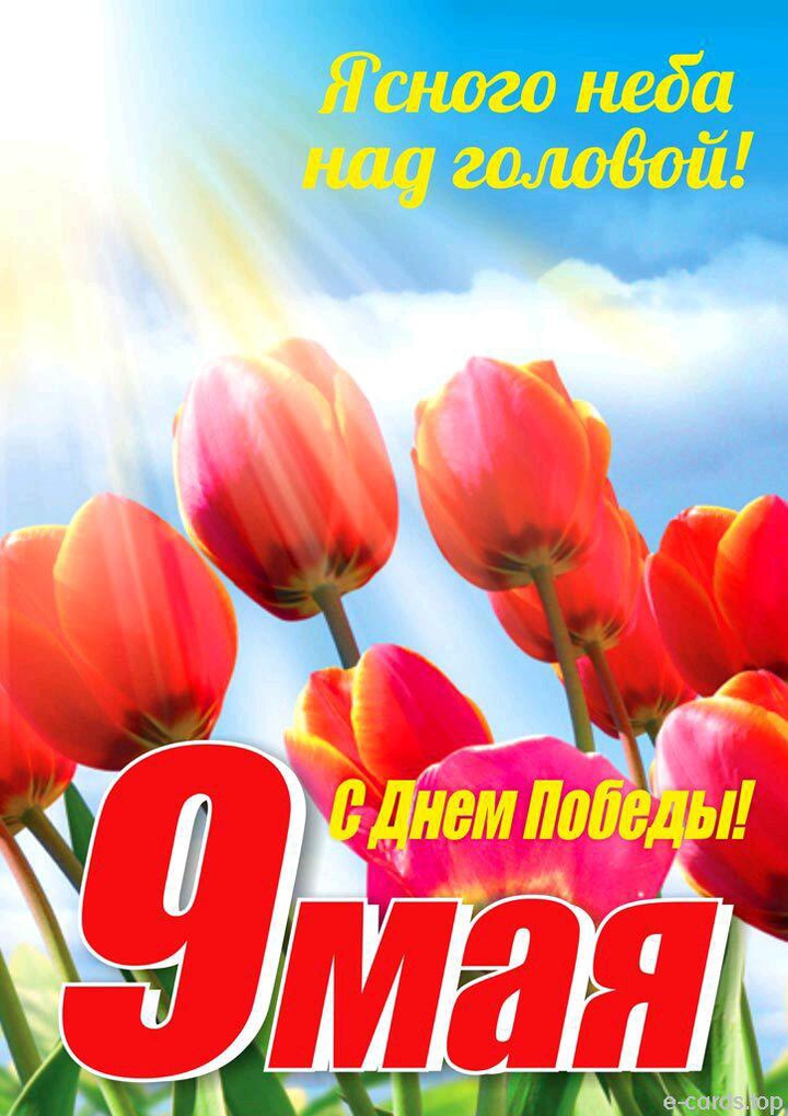May 9 - Day of the Victory of Russia over Nazi Germany