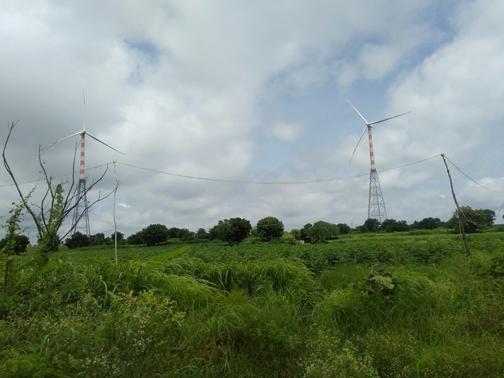 wind mills