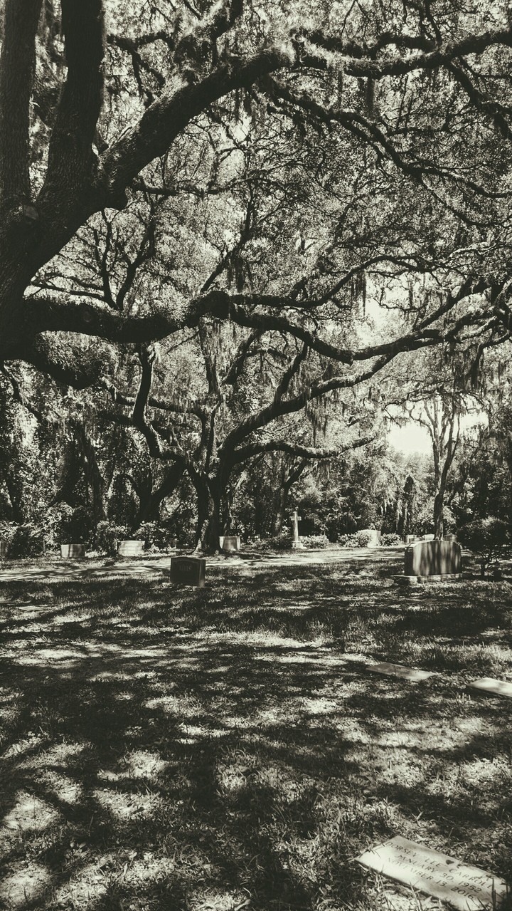 Old cemetery
