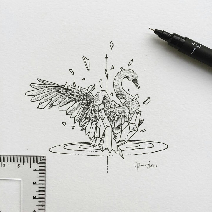Swan