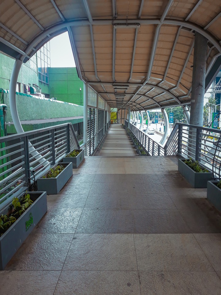 bridge
