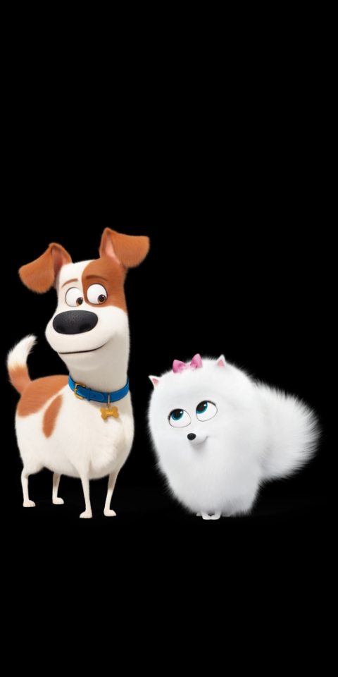 Pets