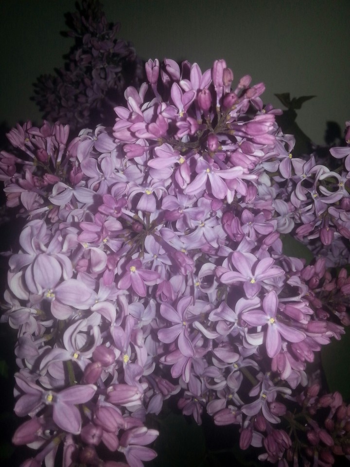 Beautiful