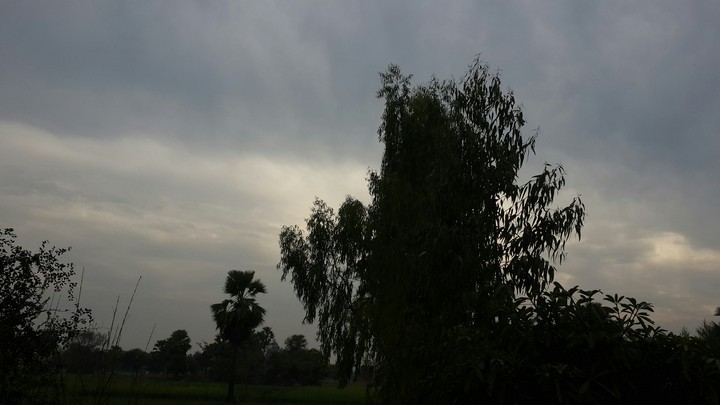 MY CLICK