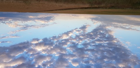 The sky