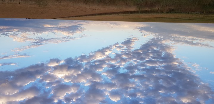 The sky