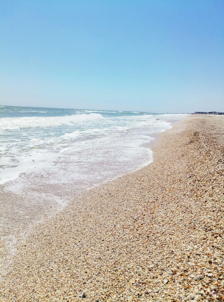 Sea see