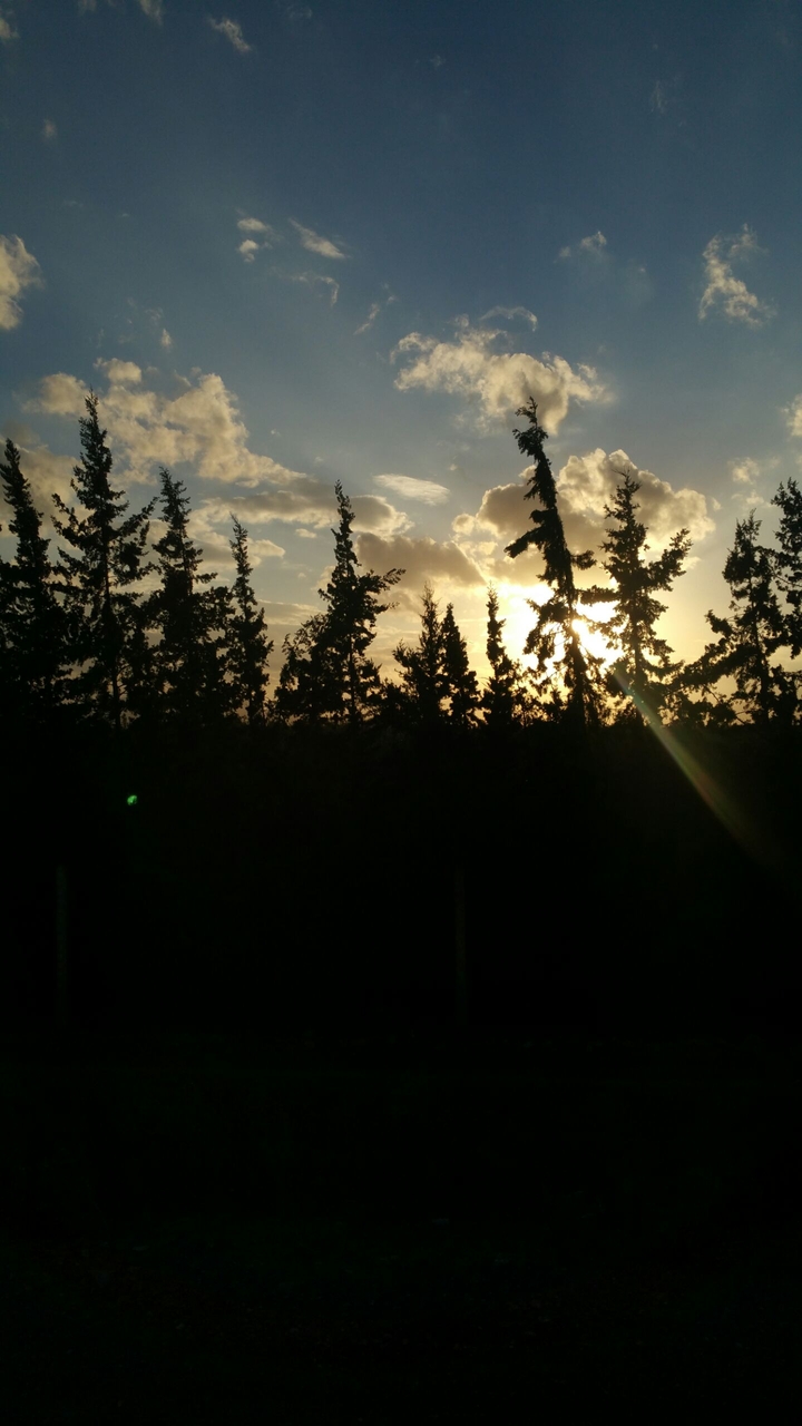 Nature,  Sun