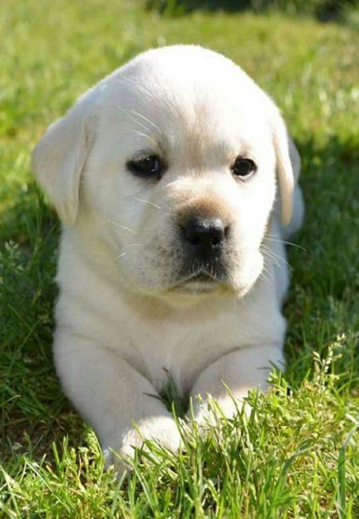 cute..