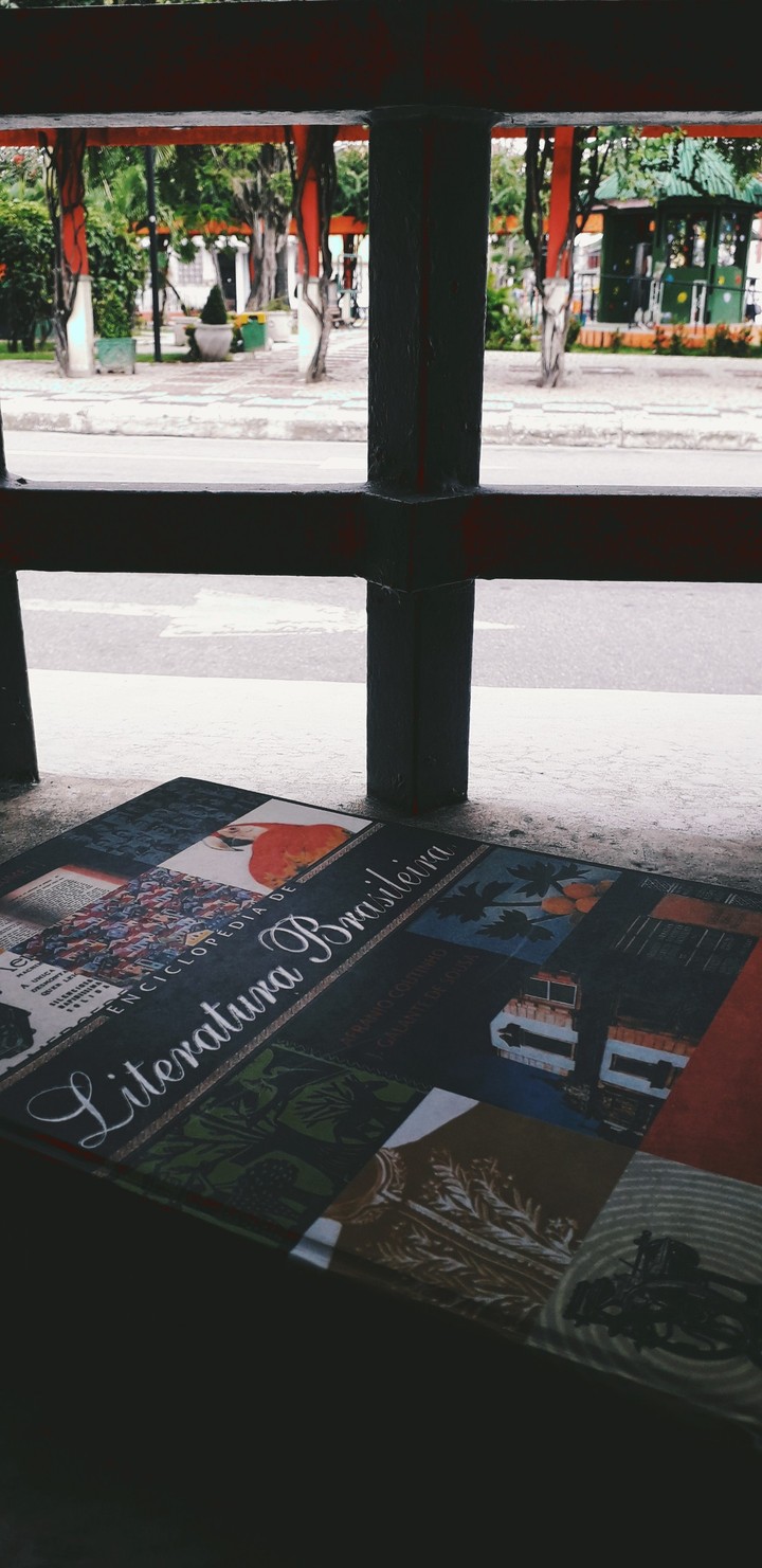 Literature book
