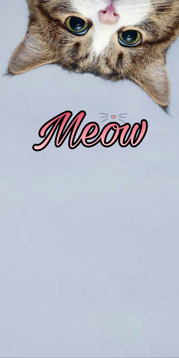 meow