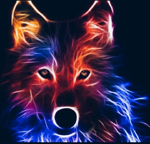 lobo multicolor