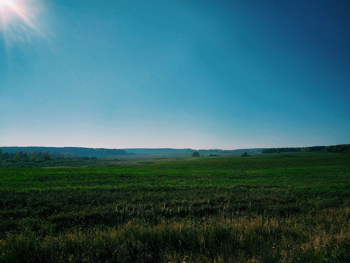 NATURE