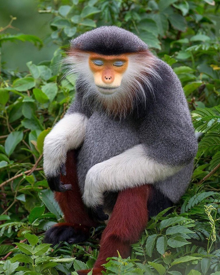 красавчик