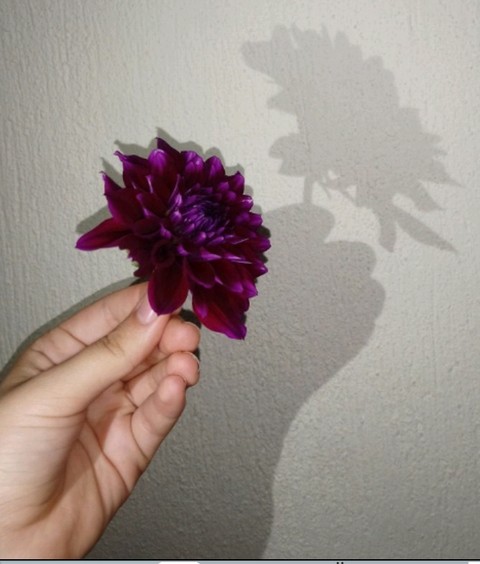 çiçek