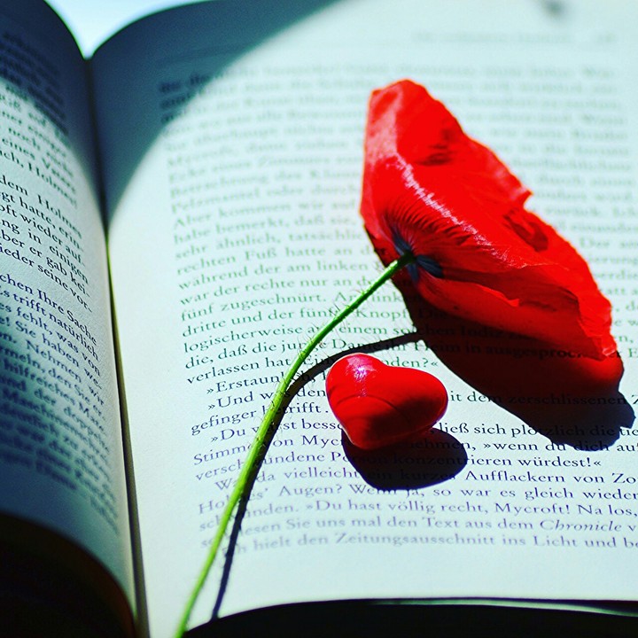 the fun of reading book