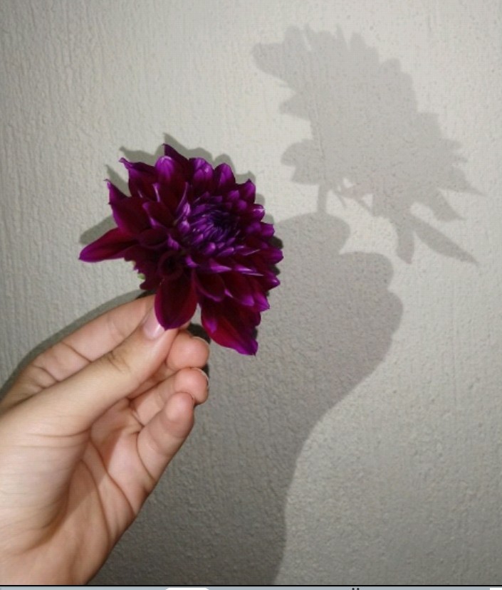 çiçek