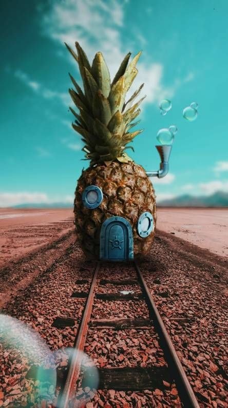 Sponge Bob's house