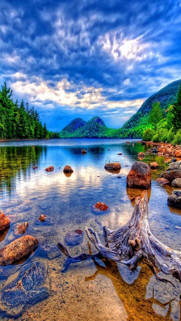 wow Beauty full nature
