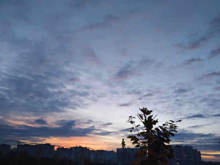 evening sky