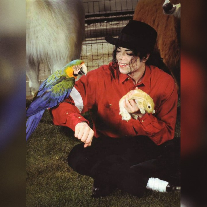Michael ;)
