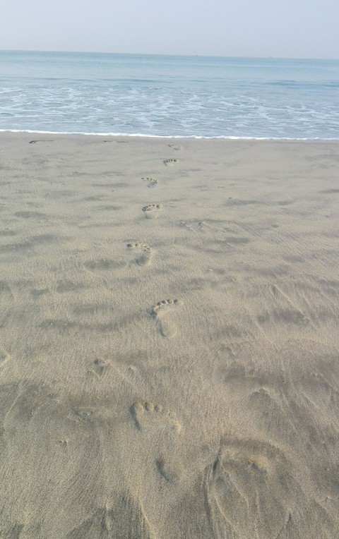 Foot Print