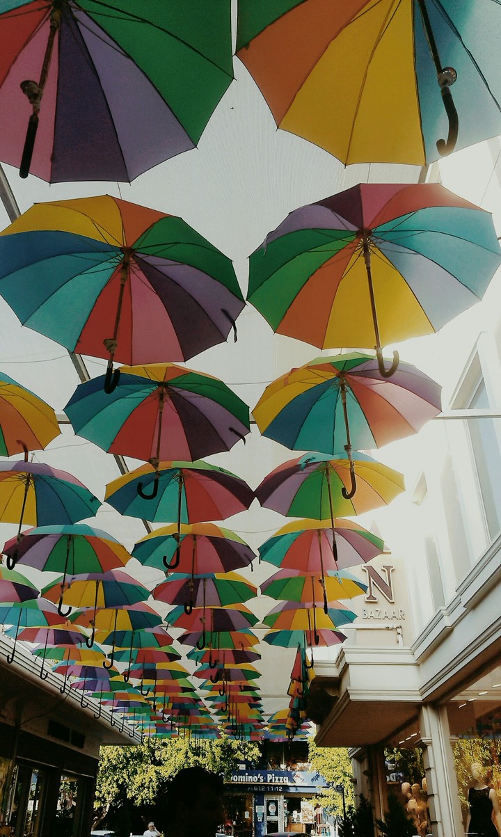umbrella