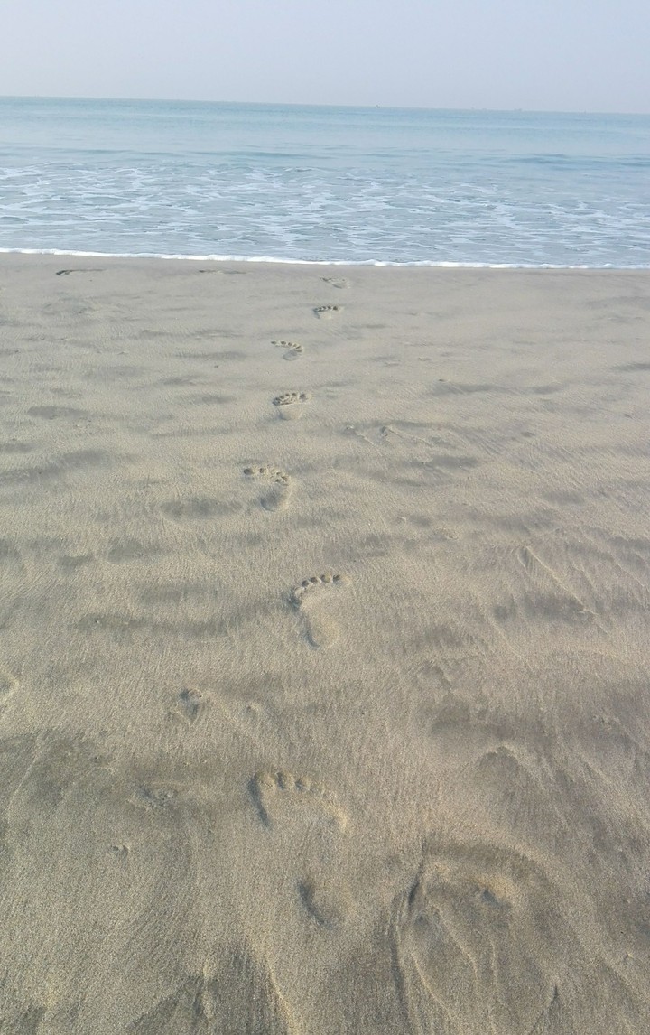 Foot Print