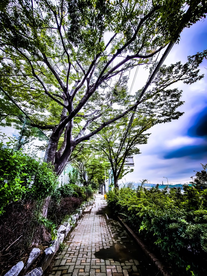 보행로