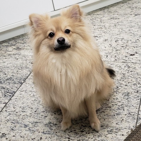 wally